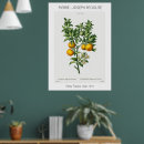Search for bitterness art Citrus