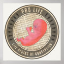 Search for pro life posters Foetus
