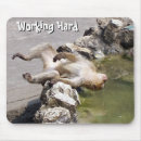 Search for harding mousepads Funny