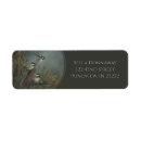 Search for chickadee return address labels Wildlife