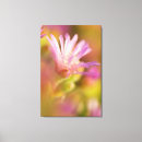 Search for fragility canvas prints Close up