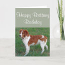 Search for brittany dog cards Spaniel