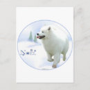 Search for samoyed dog postcards Nenetskaya laika