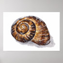 Search for snailed posters Watercolor