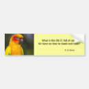 Search for parrot bumper stickers Animal