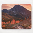 Search for washington state mousepads Nature