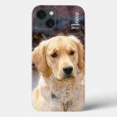 Search for golden apple iphone cases Retriever