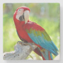 Search for beaks barware Colour