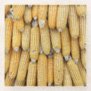 Search for corn coasters Agriculture