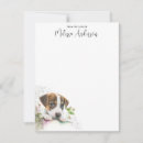 Search for terrier note cards Pets