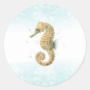 Search for tropical seahorse stickers Nautical