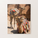 Search for camel puzzles Animals