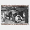 Search for boxer dog blankets Canine