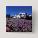 Search for mount rainier badges Mountain