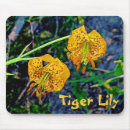 Search for tiger lily mousepads Plants