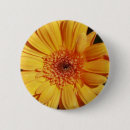 Search for orange gerbera accessories Nature