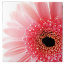 Search for 6x6 posters Flower