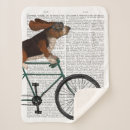 Search for bicycle blankets Funny dogs