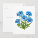 Search for little flowers postcards Nature