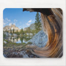 Search for garnet mousepads Inyo national forest