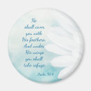 Search for psalm 91 magnets God