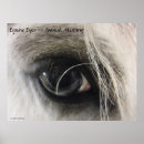 Search for mustangs posters Animals