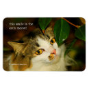 Search for whimsical magnets Pet