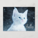 Search for pets horizontal postcards Cat