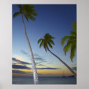 Search for resorts posters Coast