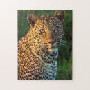 Search for kenya puzzles Close up