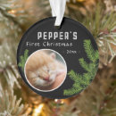 Search for branch christmas tree decorations Cute