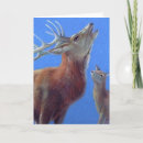 Search for stag christmas cards Red