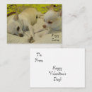 Search for puppy valentines day cards Chihuahua