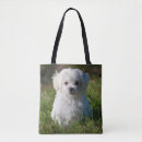Search for maltese bags Pet