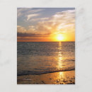 Search for august postcards Ocean
