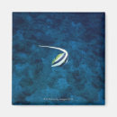 Search for seafood magnets Black