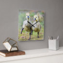 Search for goose clocks Animal