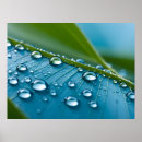 Search for drop leafs posters Nature