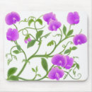 Search for sweet peas electronics Botanical