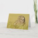 Search for profiling cards Birds