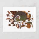 Search for cute pumpkin postcards Girl