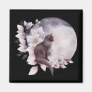 Search for black cat magnets Magic