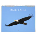 Search for bald eagle calendars Nature