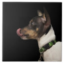 Search for tongue tiles Dog