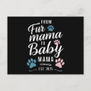 Search for funny cats and dogs postcards Kitty