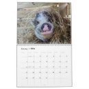 Search for farm animal calendars Cute