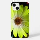 Search for fluorescent cases Yellow