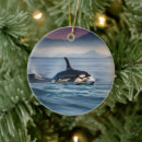 Search for orca christmas tree decorations Sea