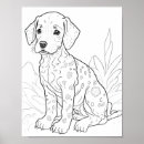 Search for dalmation posters Dog