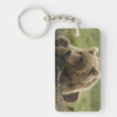 Search for grizzly bears key rings Nature